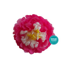 Fiori per Abiti e Capelli - Rosa Fuxia