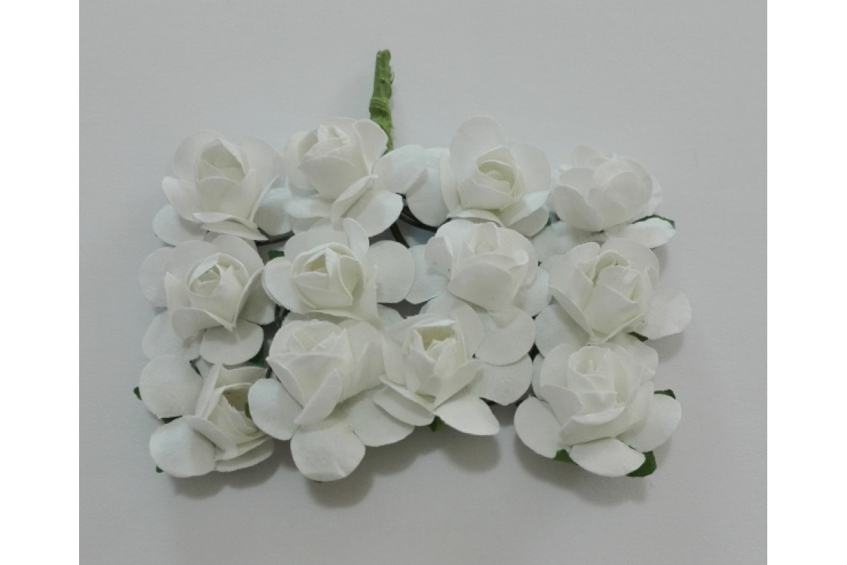 Flowers - White Roses