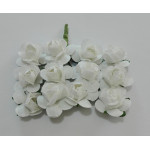 Flowers - White Roses Flowers - White Roses
