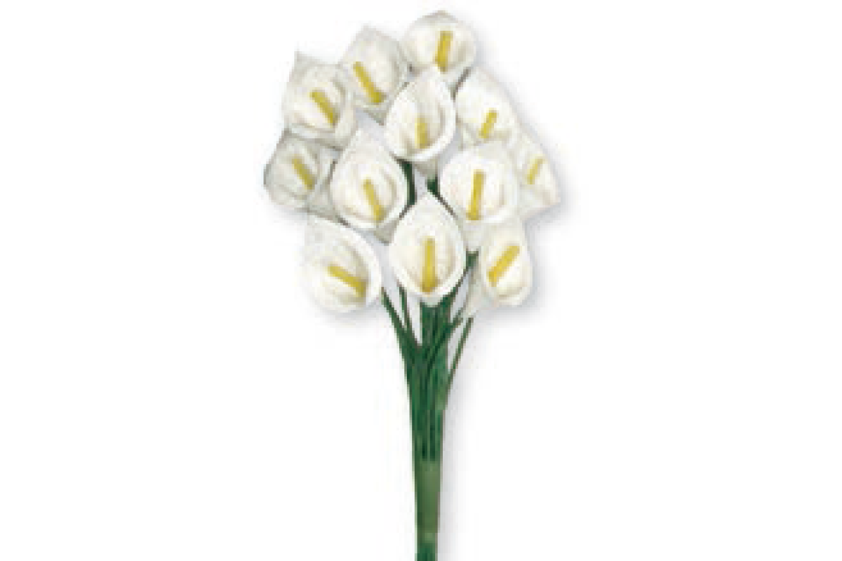Flor - Calas de Color Blanco