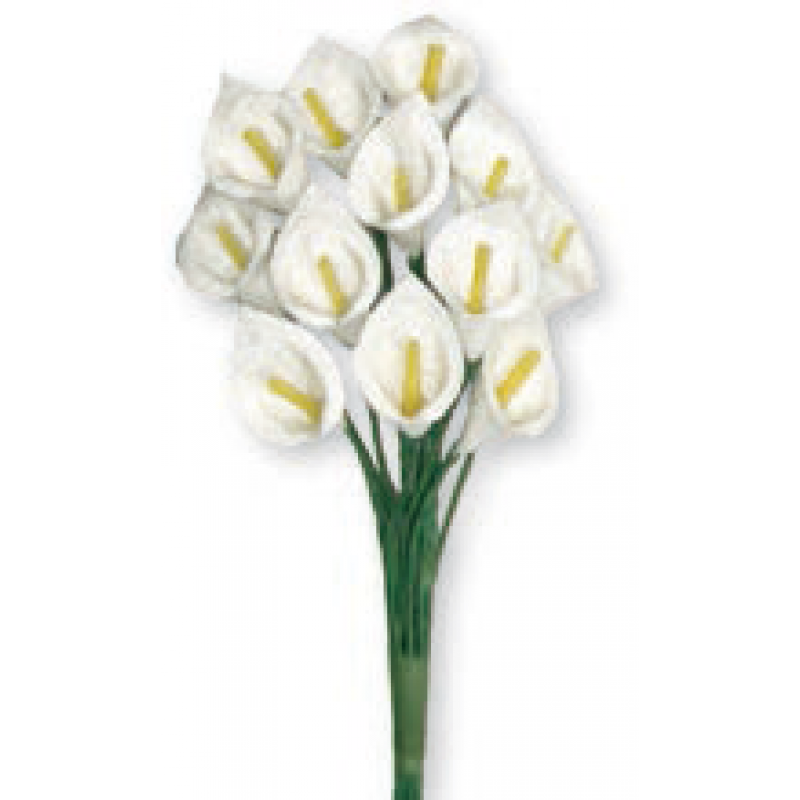 Flor - Calas de Color Blanco