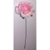 Flor - Rosas de Color Rosa