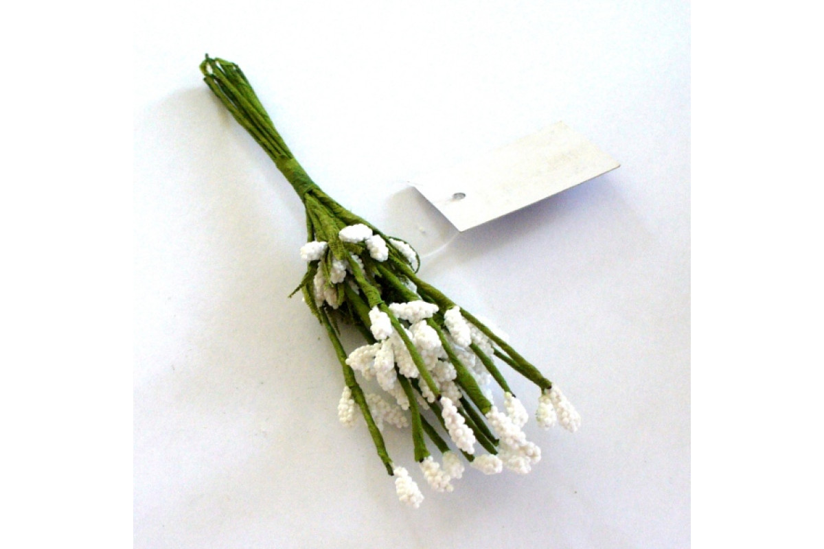 Flowers - White Astilbe
