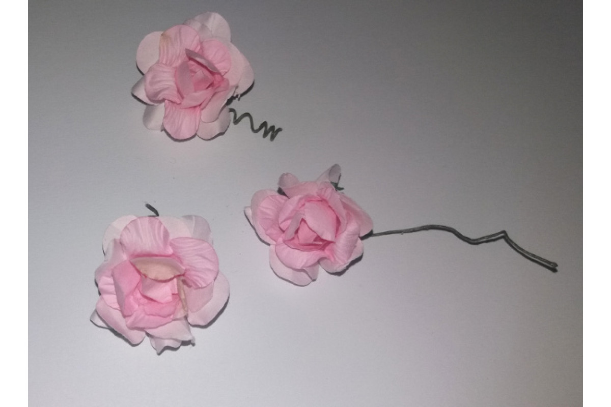 Flor - Rosas de Color Rosa