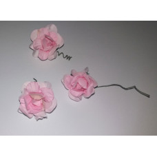 Fiori - Rosellina Rosa