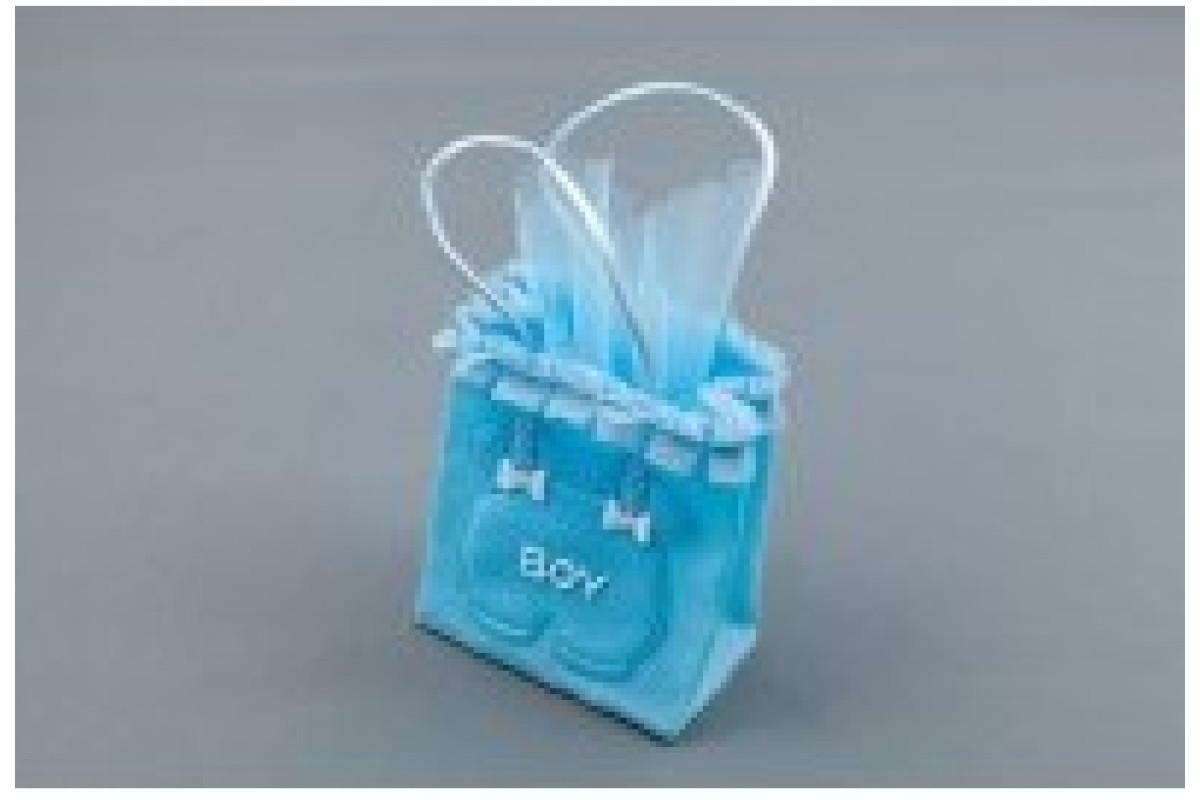 Bolsa Plisada Bebé Celeste