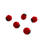 Bottoni - Coccinella da 11 mm