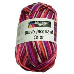 Ovillos de Lana - Bravo Jacquard Color