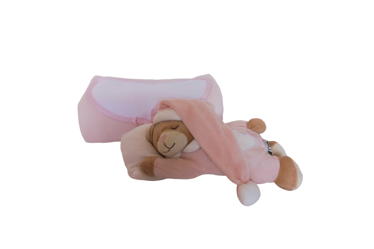 Pink Fleece Blanket and Teddy Bear Pink Fleece Blanket and Teddy Bear