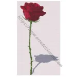 Schema Punto Croce - Rosa con Ombra Schema Punto Croce - Rosa con Ombra